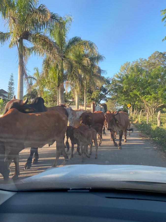 Colina Buena Vista A4 Daire Jarabacoa Dış mekan fotoğraf